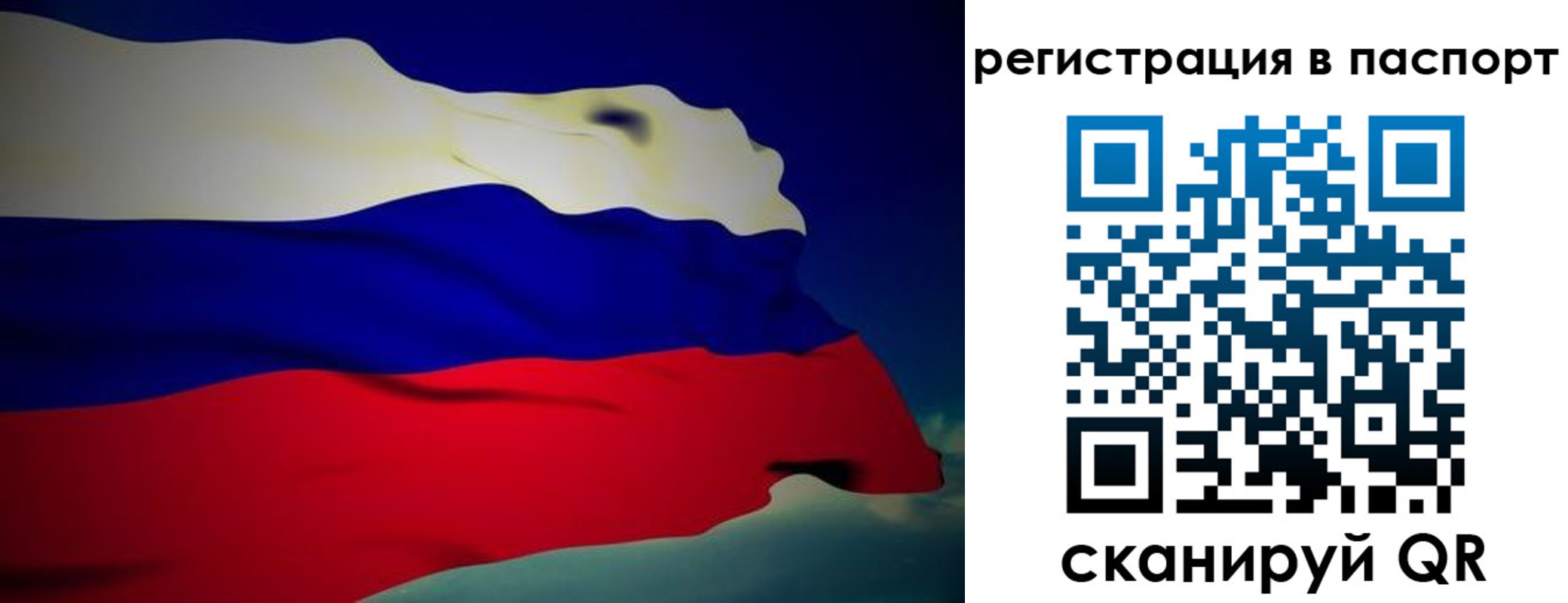прописка законно в Череповце